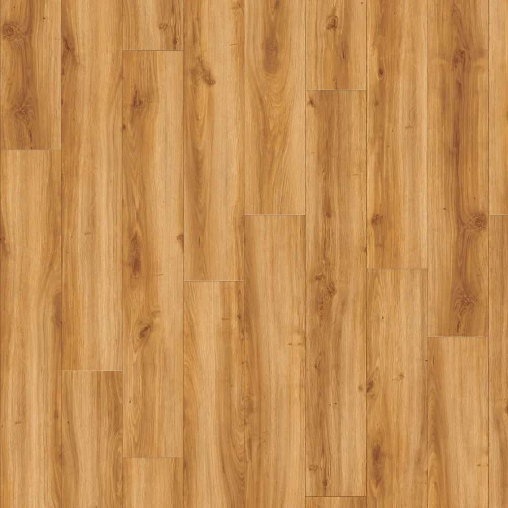 MODULEO SELECT PLANK