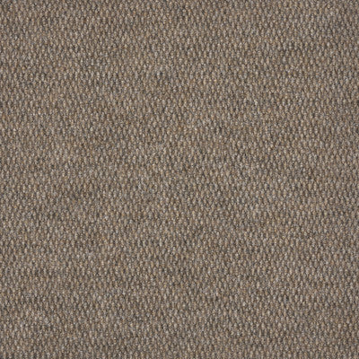 BERBERPOINT