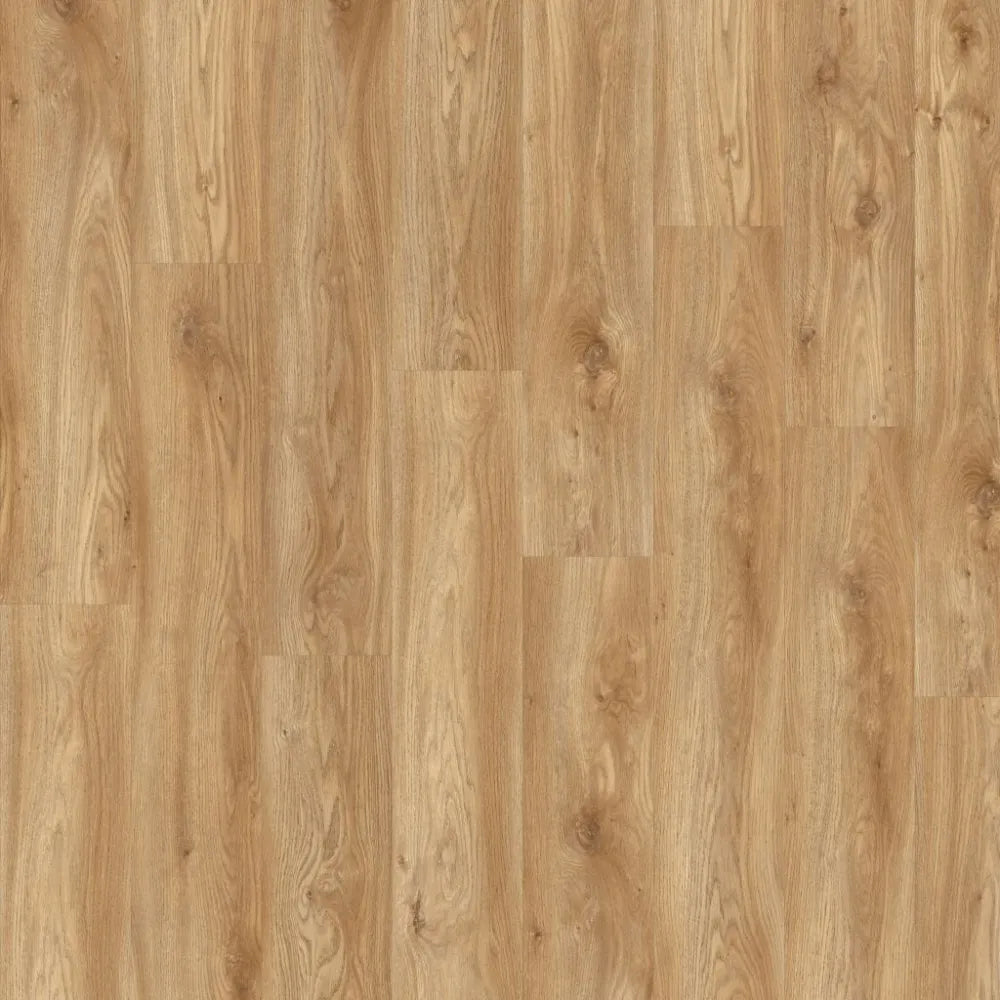 MODULEO INTOO PLANK